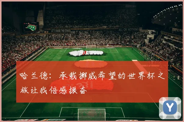 哈兰德：承载挪威希望的世界杯之旅让我倍感振奋
