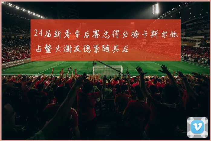 24届新秀季后赛总得分榜卡斯尔独占鳌头谢泼德紧随其后