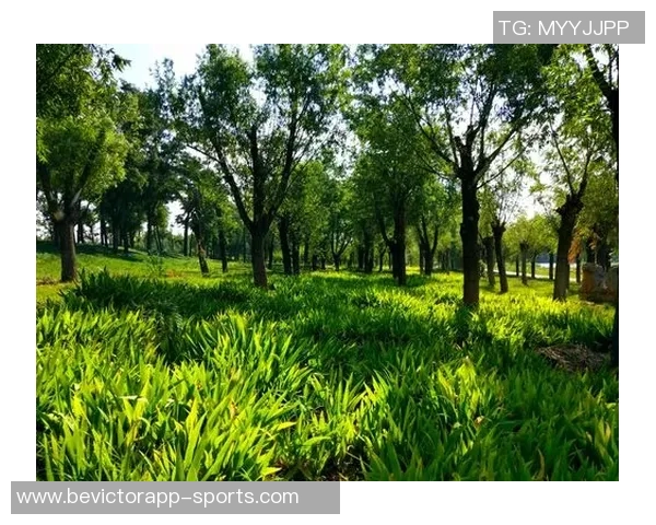 奥特古德温刻苦训练成效显著期待他未来更精彩的表现